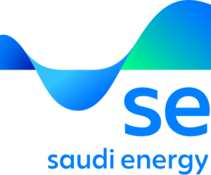 Saudi Energy (formerly Saudi Electricity Company) — DEISO client