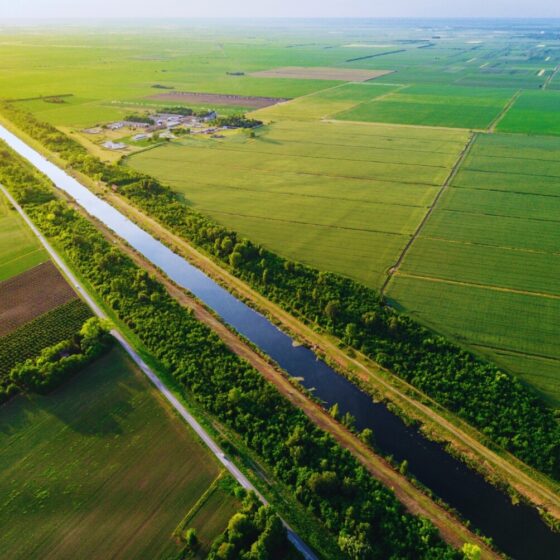 a water channel between fields