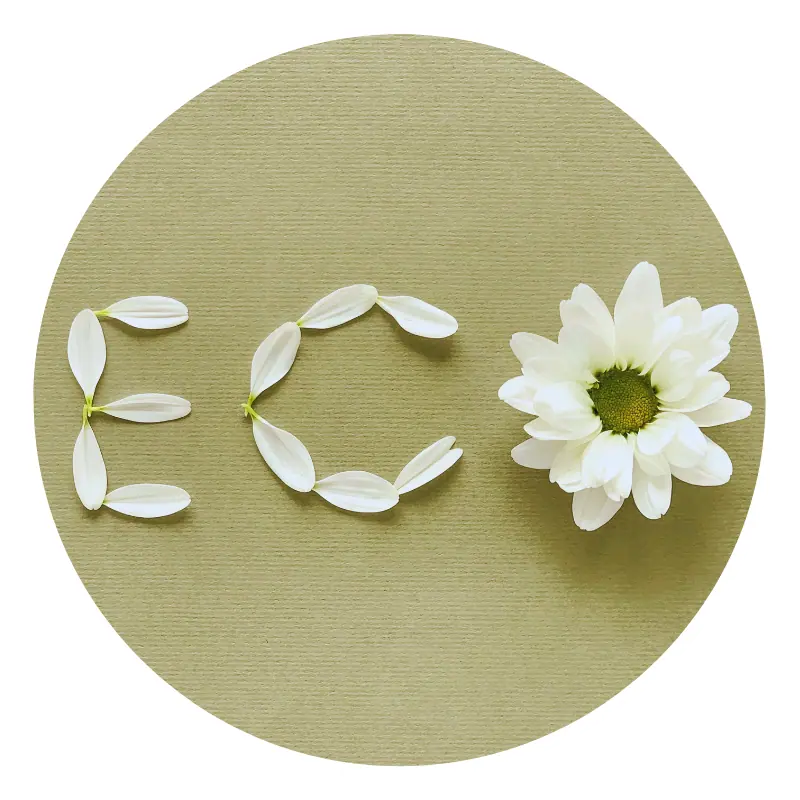 Eco scritto con petali bianchi e fiori